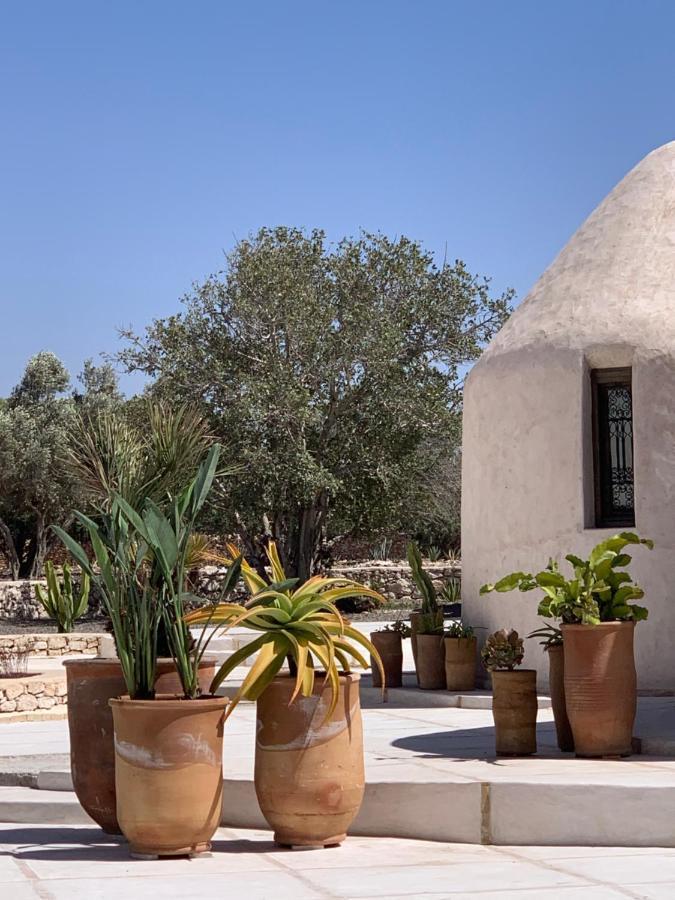 אסאוירה Les Jardins De Villa Maroc מראה חיצוני תמונה